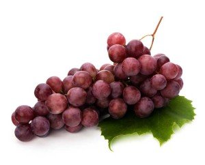 el resveratrol