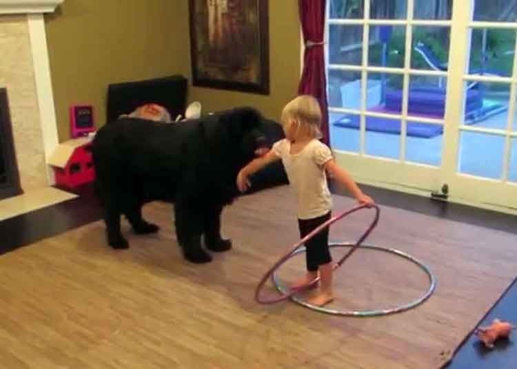 la cosa más linda que verás esta semana