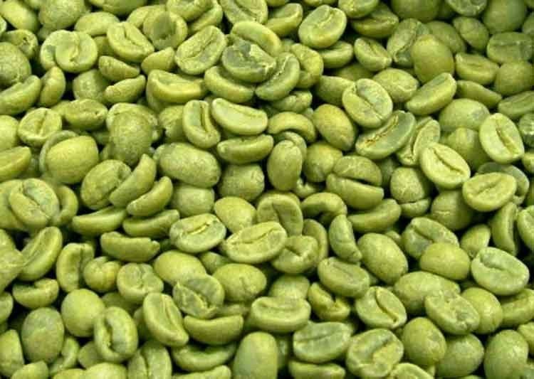 los fríjoles mágicos