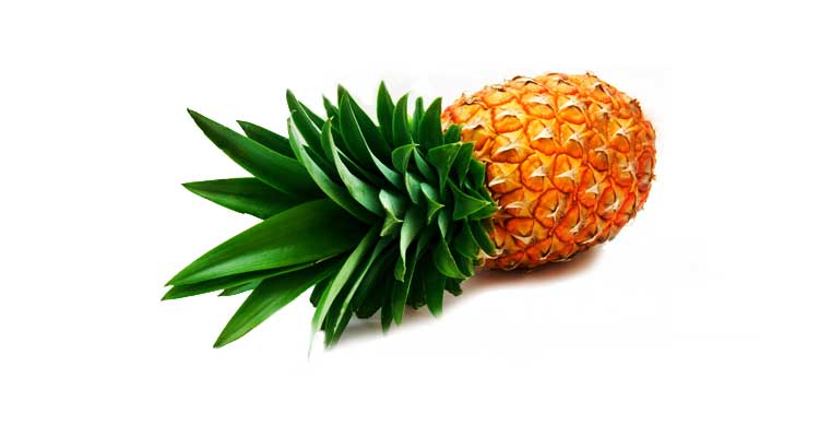Se imagina la cara de Colón al descubrir la piña?