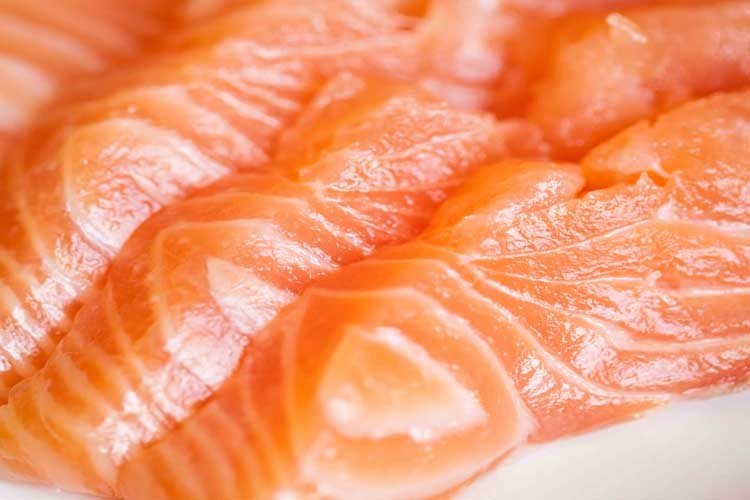 Salmon