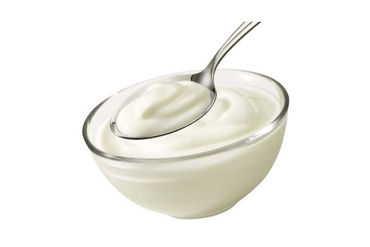 yogurt