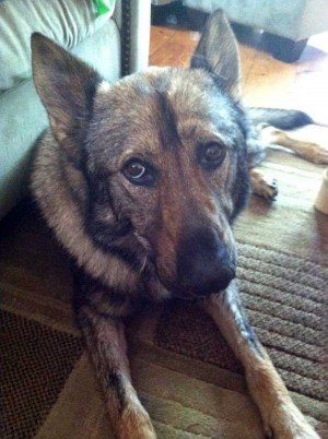 Kaiser