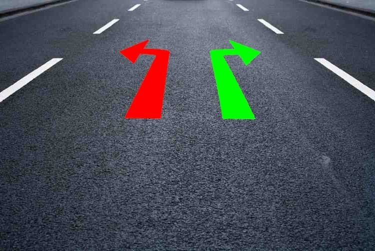 estudios científicos