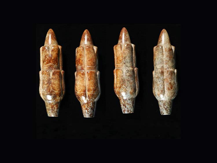 Mazorcas de 3000 años