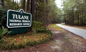 Tulane National Primate Center en Louisiana