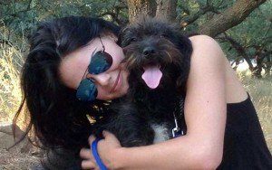 perro callejero