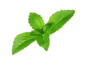 Stevia o Estevia