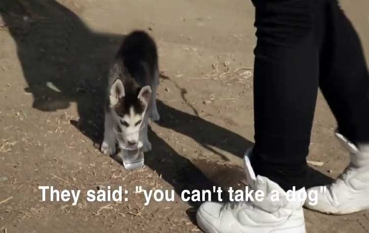 Adolescente refugiado