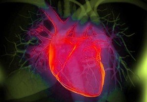 corazón
