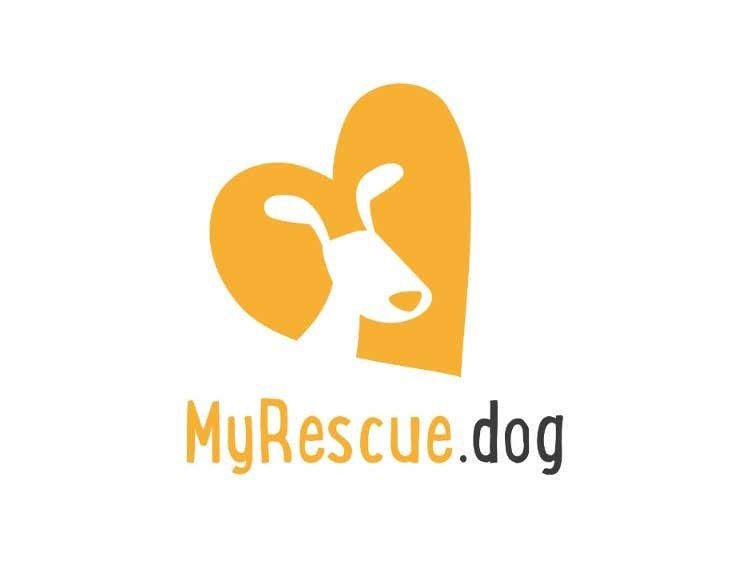 MyRescue dog