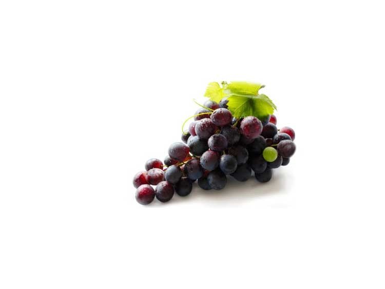 Resveratrol