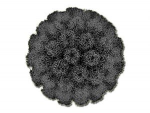 virus