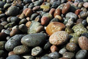 Piedras en la vesícula