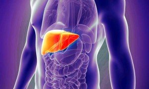 hepatitis-c-liver