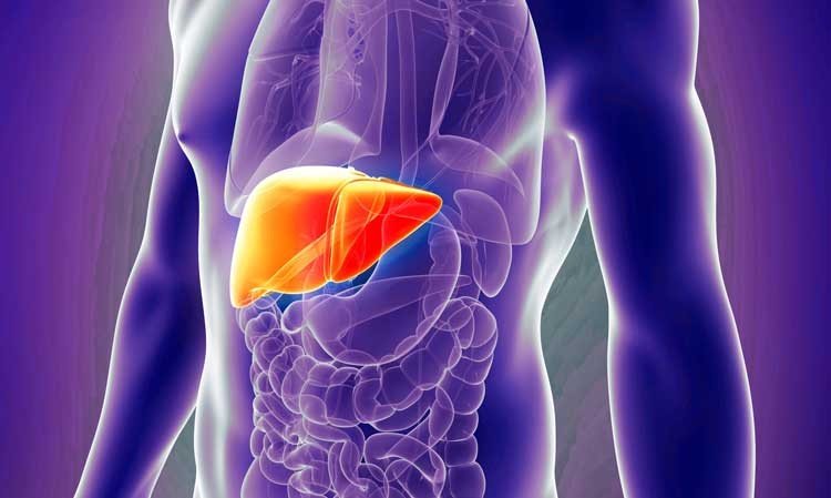 hepatitis-c-liver