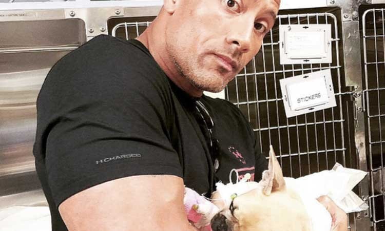 La Estrella The Rock