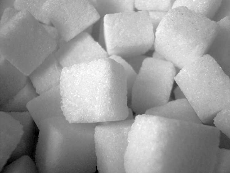 Enzima descubierta regula el metabolismo del azúcar