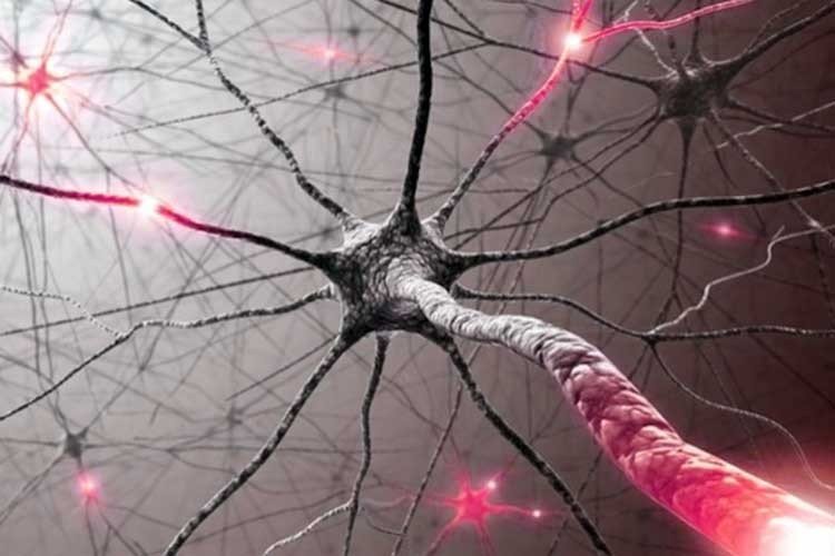 Tratamiento de cáncer para la esclerosis múltiple