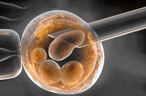 Harvard y MIT cerca de la cura para la diabetes