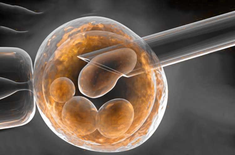 Harvard y MIT cerca de la cura para la diabetes