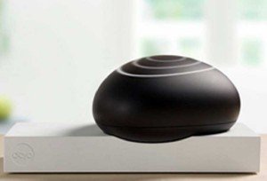 Dojo: ¿Qué es, para qué sirve?