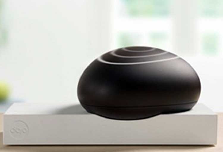 Dojo: ¿Qué es, para qué sirve?