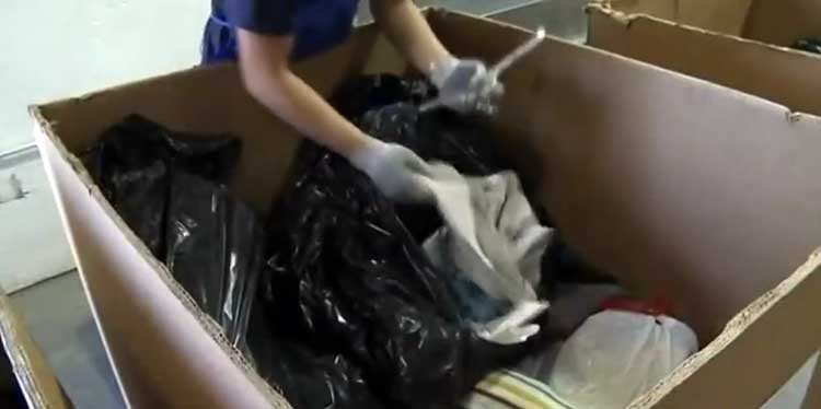 Empleada de Goodwill