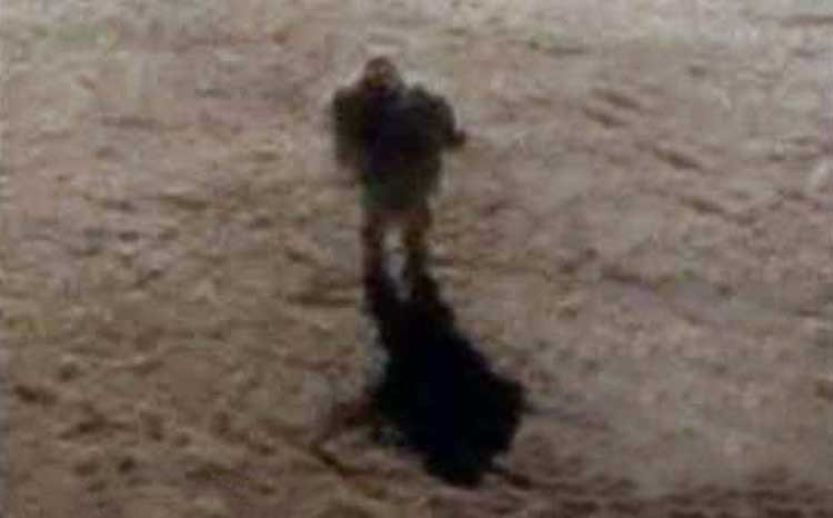 Fotografía a un gigante