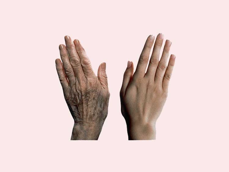 Los científicos hacen avance anti-envejecimiento