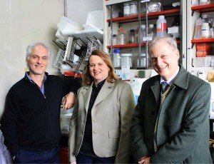 Científicos modifican virus para que ataquen tumores