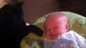 Gato acariciando a bebe con su pata para que duerma