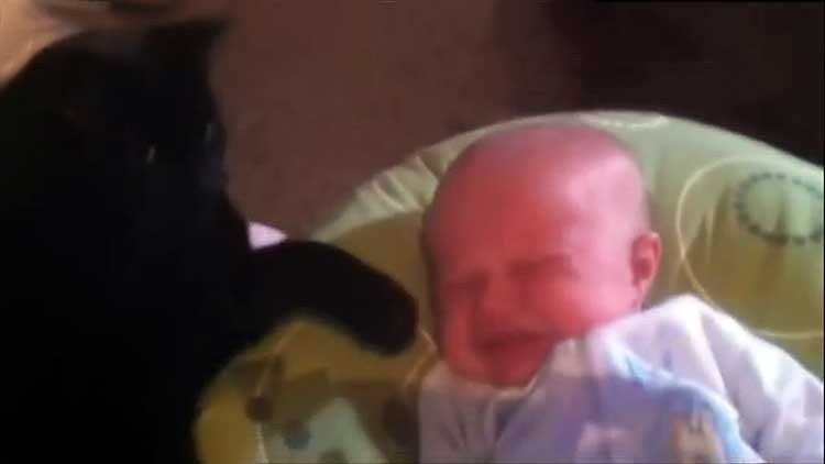 Gato acariciando a bebe con su pata para que duerma