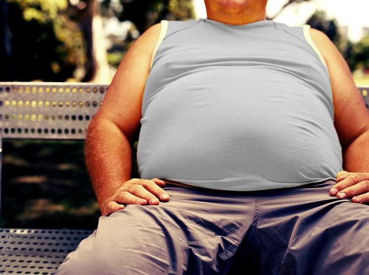 ¿Cuál es la clave para combatir la obesidad?