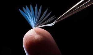 Crean un material súper - elástico