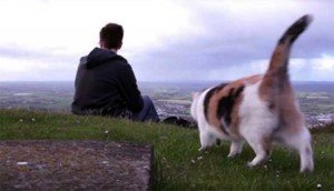 Stevie, El Gato ciego derretirá tu corazón