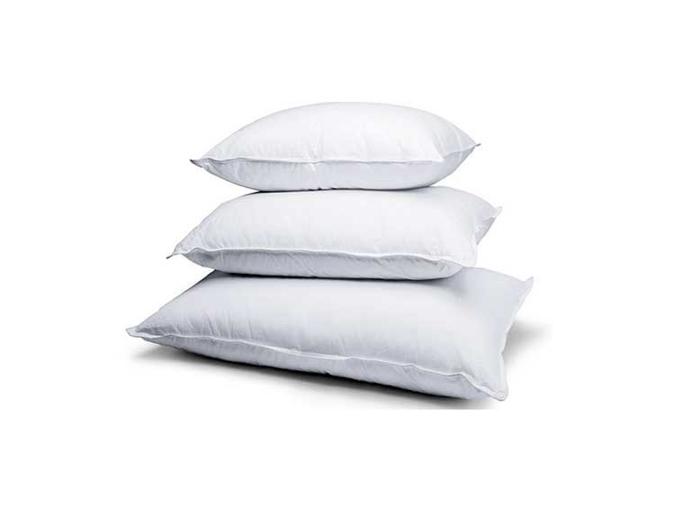 Hongo en su almohada provocaría infección pulmonar