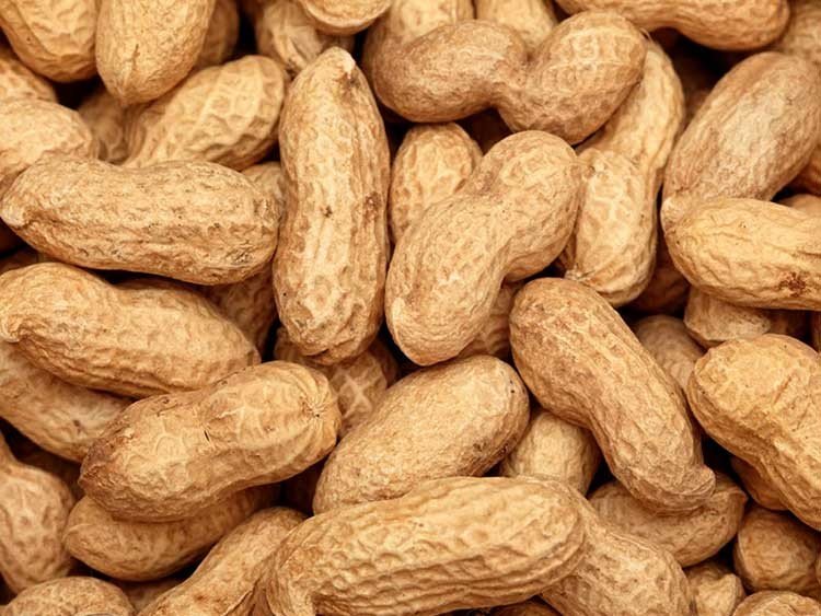 Por qué las alergias al maní son tan peligrosas