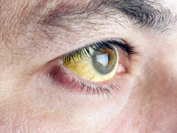 Nuevas formas de tratar la lesión hepática