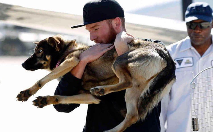 Perrito fue rescatado por la Marina de los EE.UU.