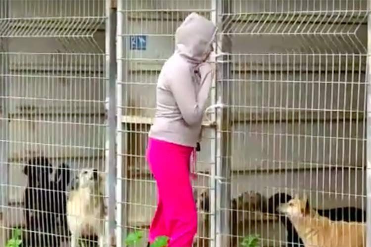 No podía decidir qué perros salvar, ¿Qué hizo?