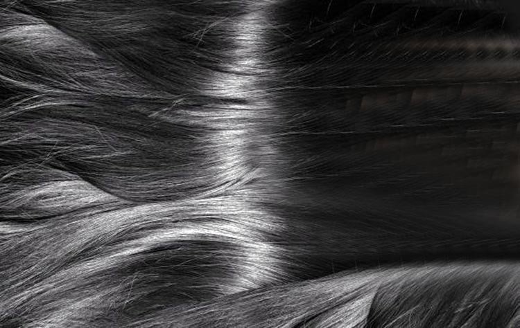 Los genes detrás de su pelo raro