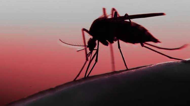 Prueba instantánea para el dengue y zika