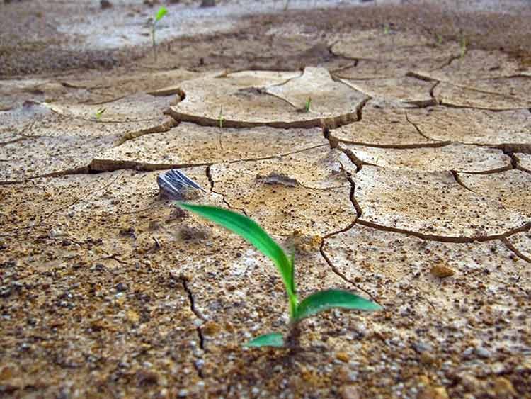 NASA responde a negadores del Cambio Climático