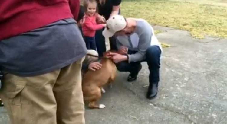 Policía recorre 1000 kilómetros para buscar un perro