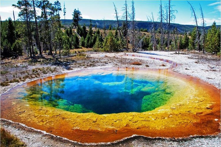 Lo que realmente está pasando en Yellowstone