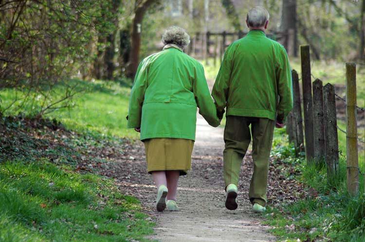 Para revertir el Alzheimer y recuperar la memoria
