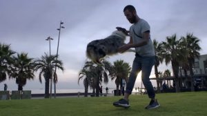 Dueño y perro, sus corazones laten en sincronía