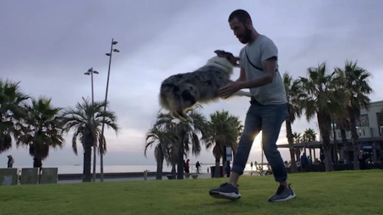 Dueño y perro, sus corazones laten en sincronía