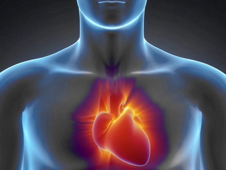 La soledad produce riesgo de enfermedad cardíaca